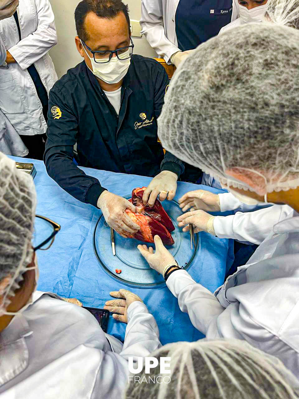 Estudiantes de Kinesiología y Fisioterapia desarrollan prácticas de fisiopatología: Aprendizaje en acción