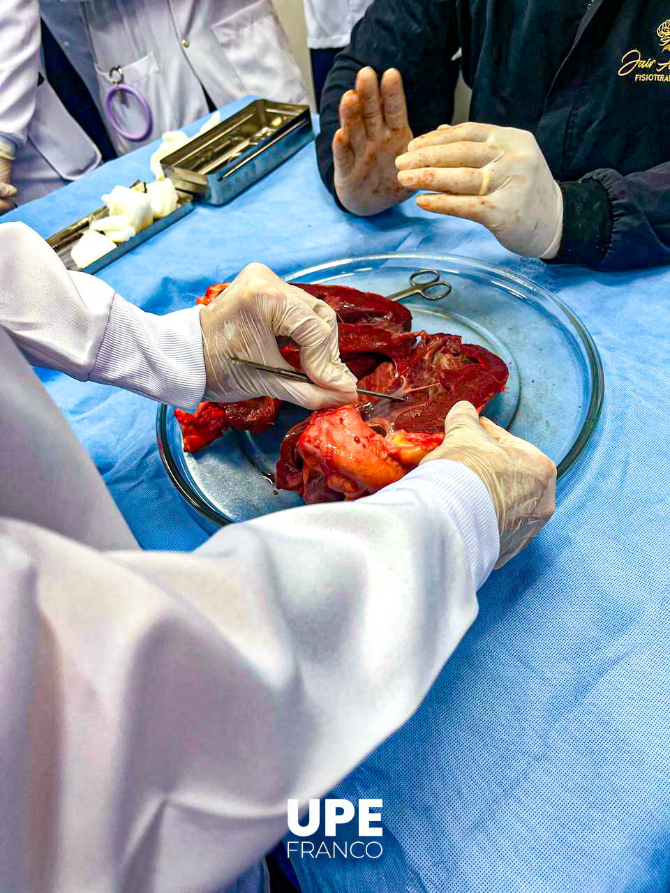 Estudiantes de Kinesiología y Fisioterapia desarrollan prácticas de fisiopatología: Aprendizaje en acción