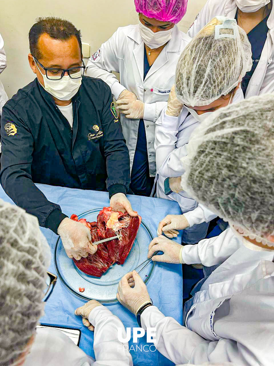 Estudiantes de Kinesiología y Fisioterapia desarrollan prácticas de fisiopatología: Aprendizaje en acción