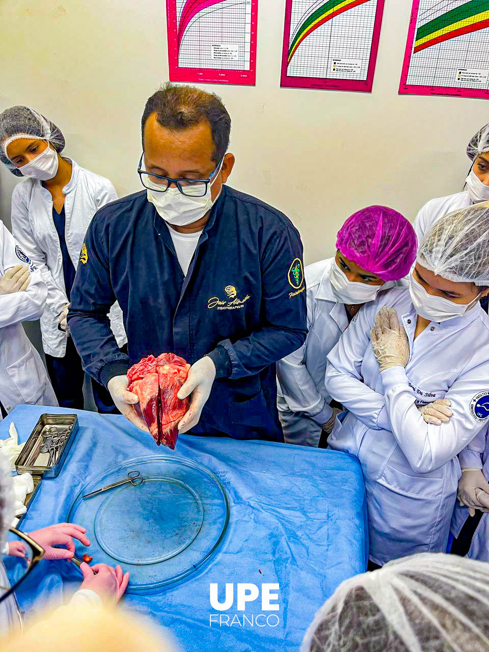 Estudiantes de Kinesiología y Fisioterapia desarrollan prácticas de fisiopatología: Aprendizaje en acción