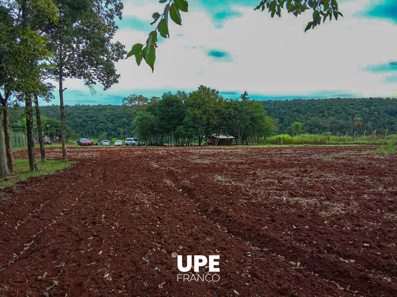 Inicia el Proyecto de Producción de Huevos de Codorniz: Formación práctica en Zoología