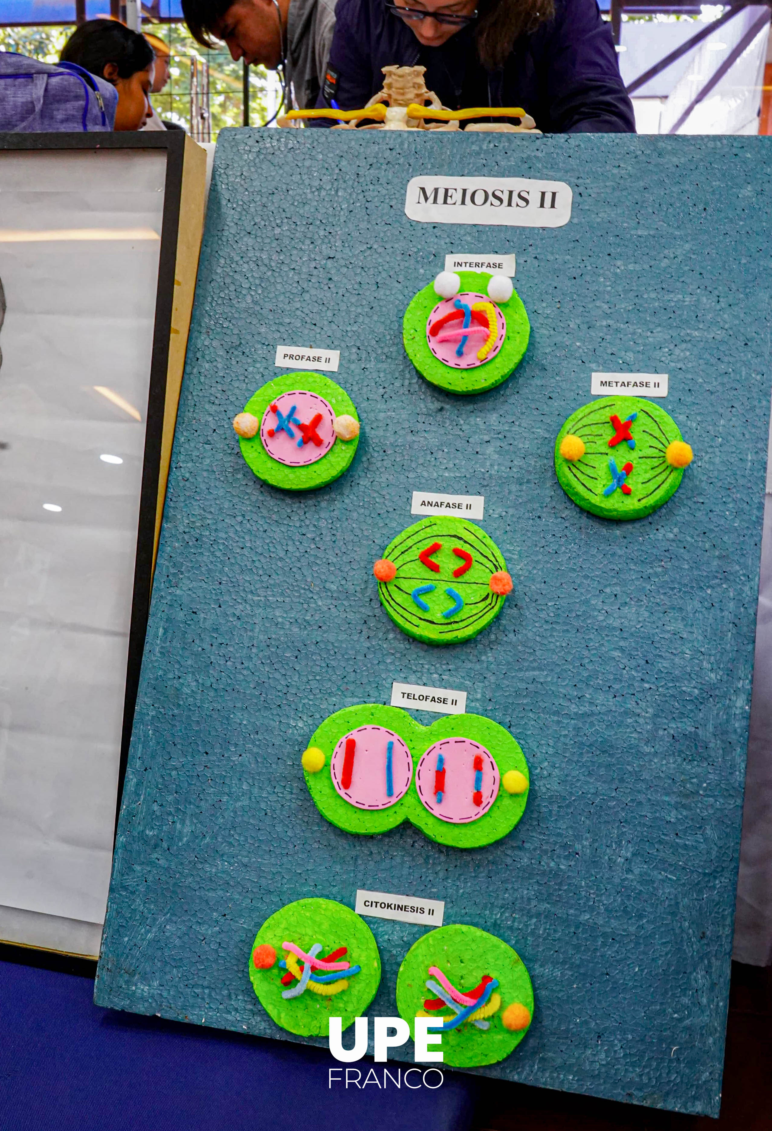 Concluye la IX Expo Salud en UPE FRANCO: Educación, salud y comunidad