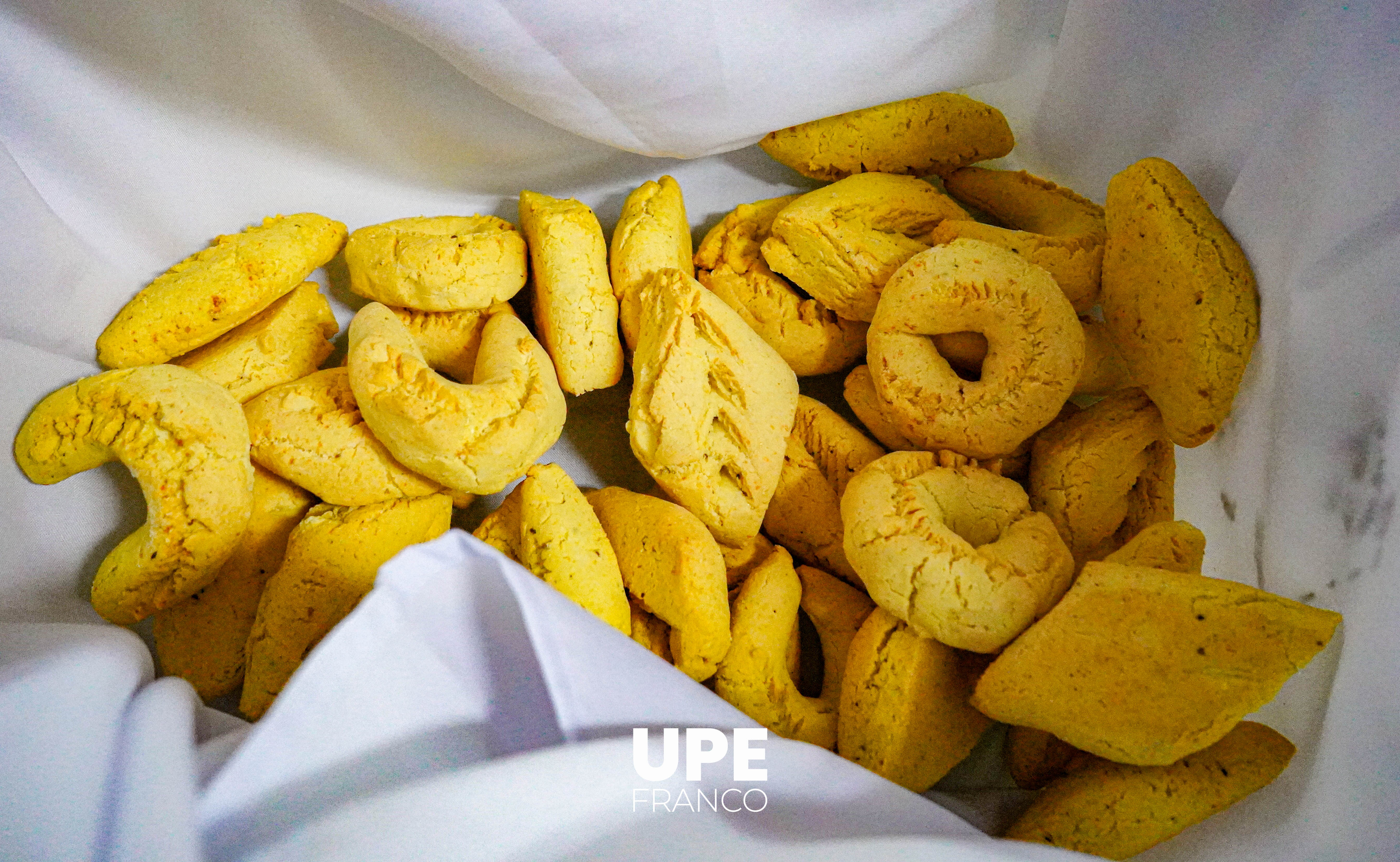 Jornada de Chipa Apo en Kinesiología y Fisioterapia: Formación y tradición