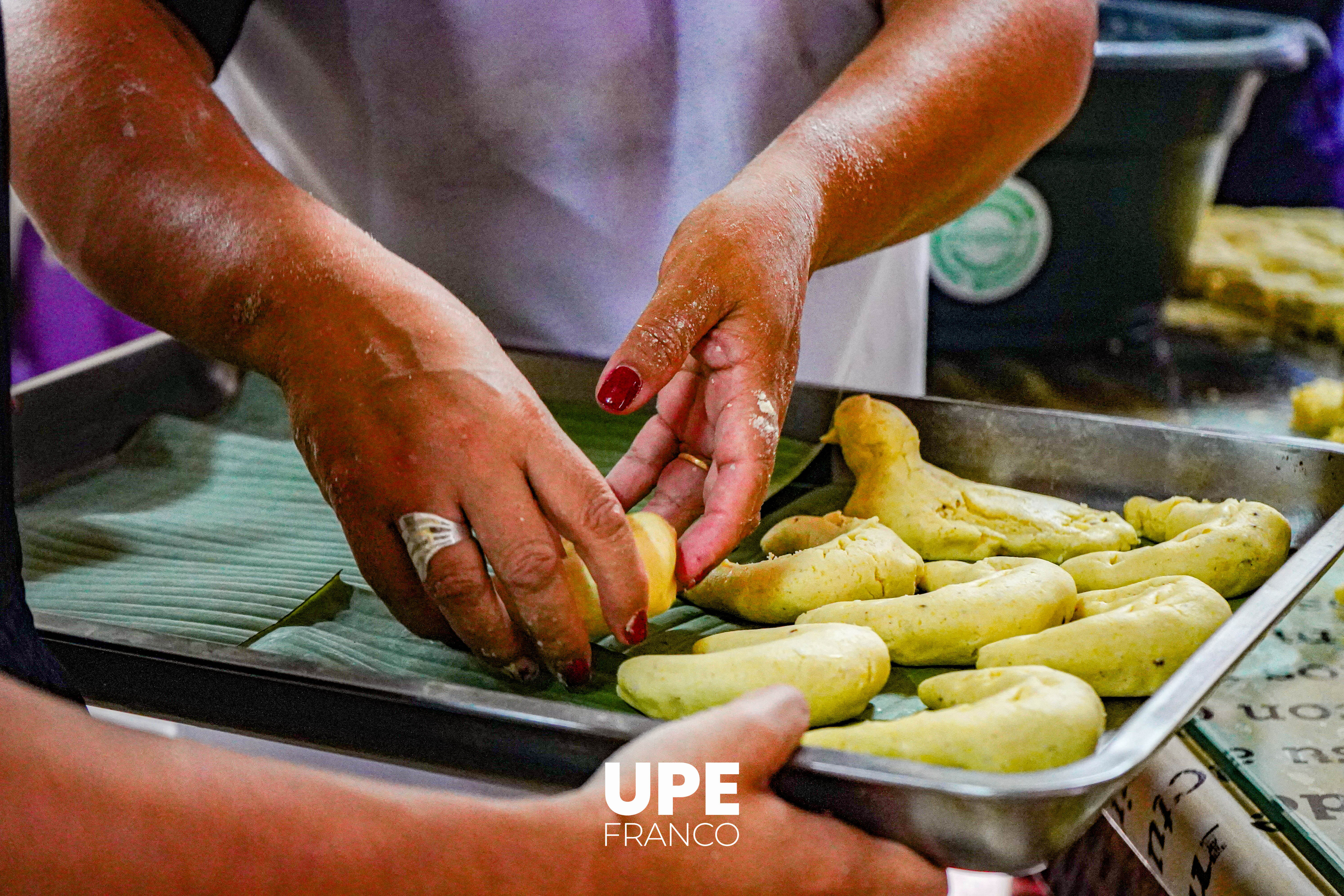 Jornada de Chipa Apo en Kinesiología y Fisioterapia: Formación y tradición