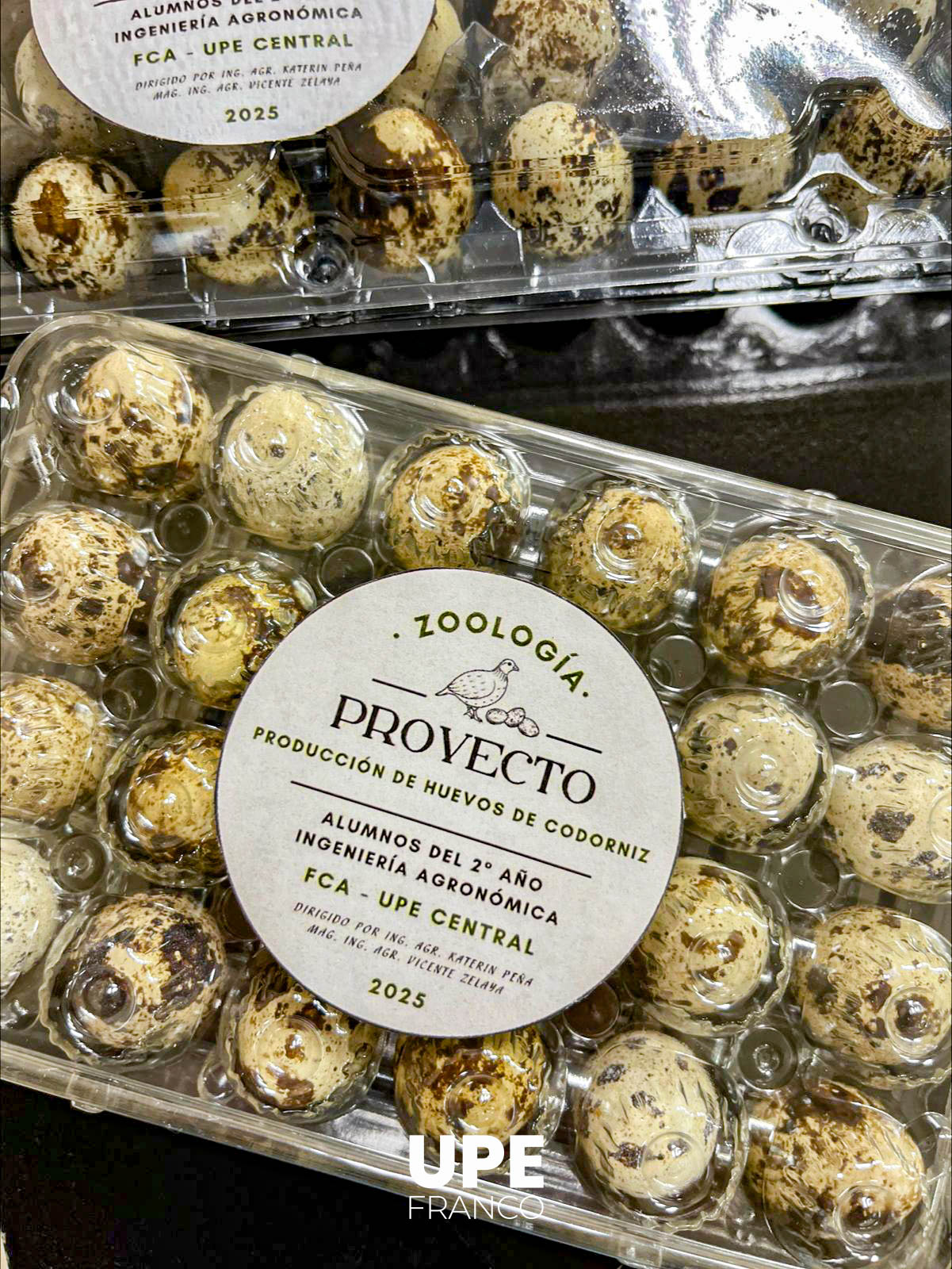 Producción de Huevos de Codorniz: Experiencia formativa en Ingeniería Agronómica