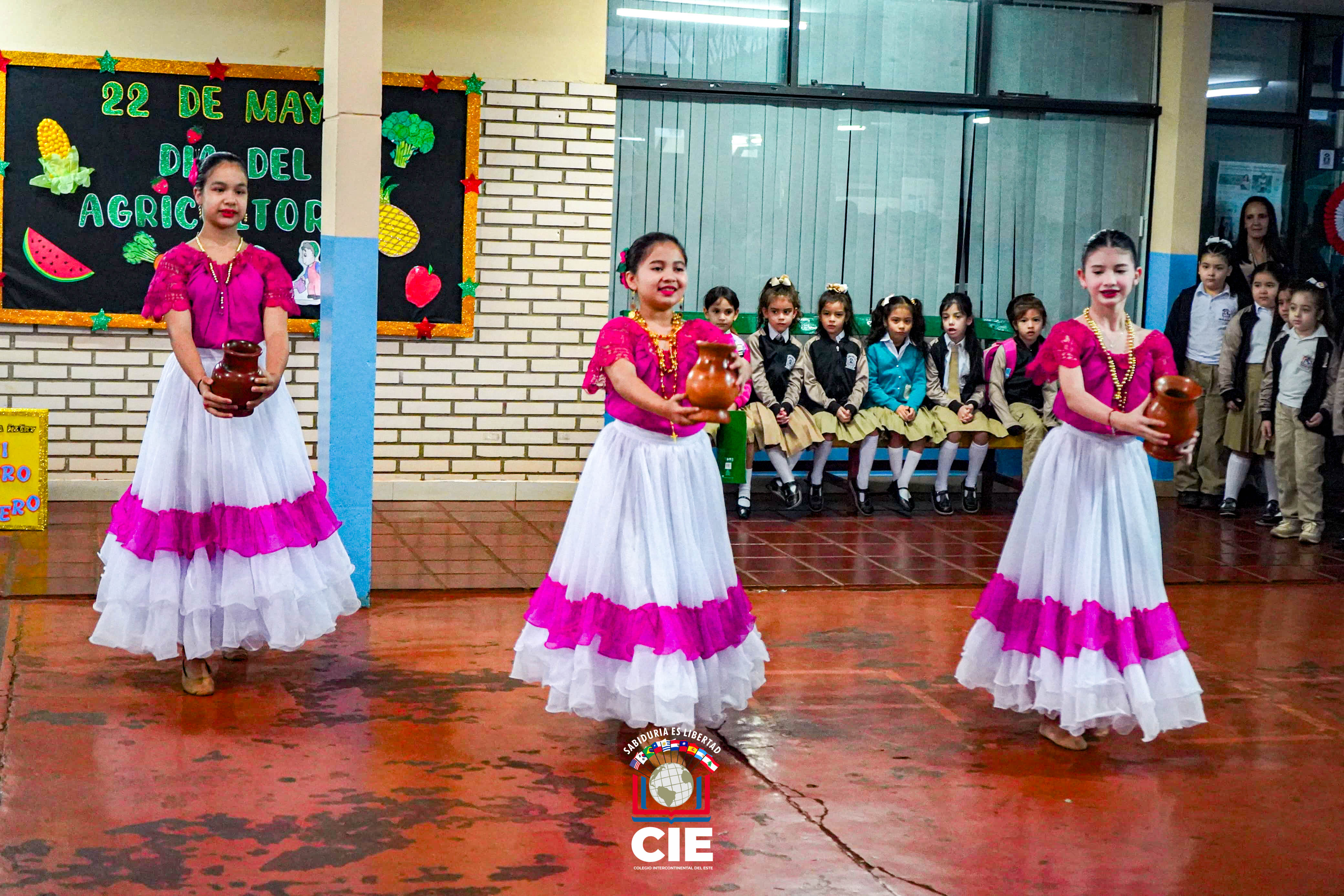 Lanzamiento del Proyecto Libro Viajero: Programa Ñe’ẽry en el CIE