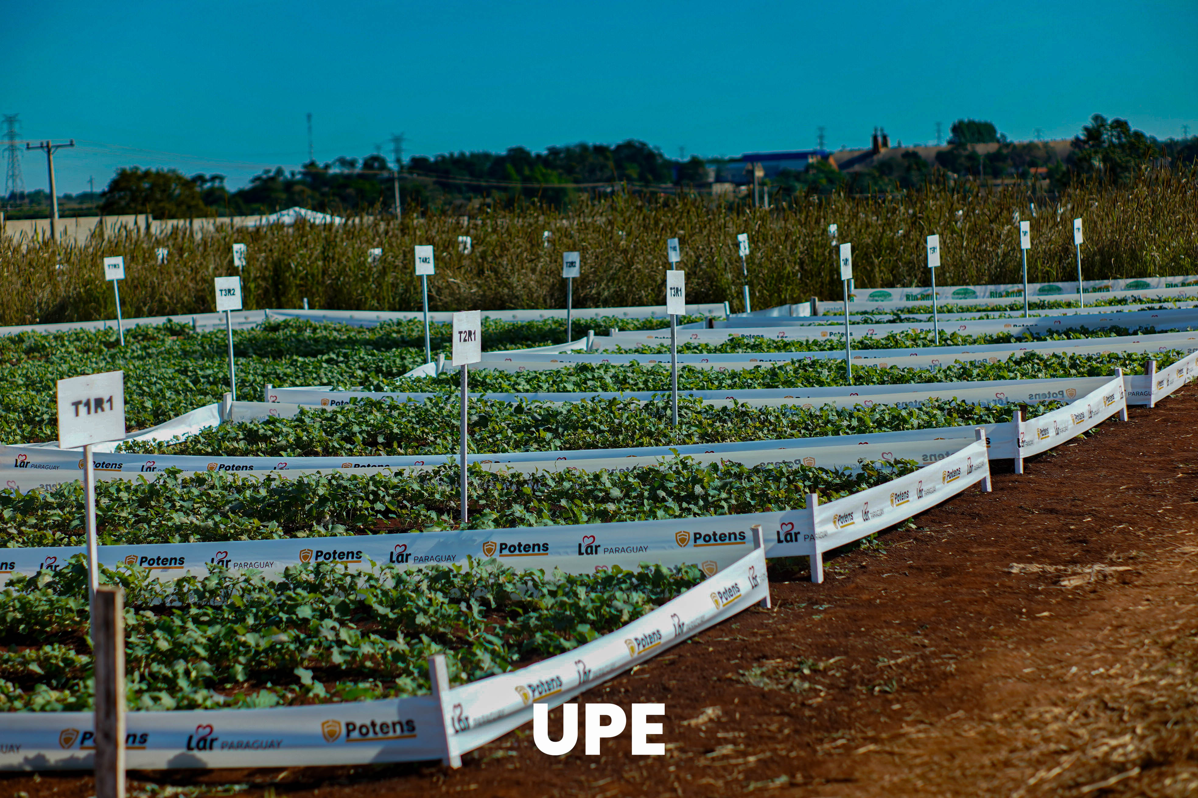 DÍA DE CAMPO: Estudiantes de Agronomía exponen sus trabajos del Primer Semestre 2025