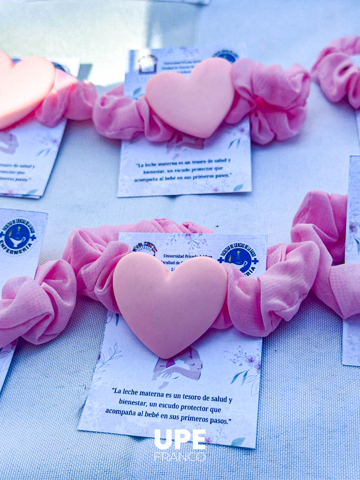 Proyecto de Extensión Universitaria: Estudiantes de Enfermería informan sobre Lactancia Materna