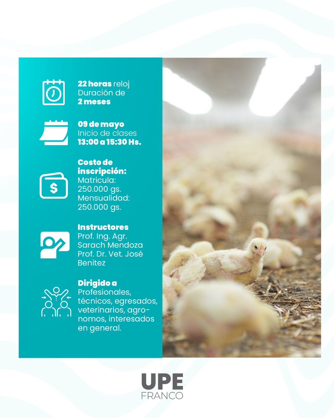 Diplomado en Producción Avícola: Inscripciones abiertas