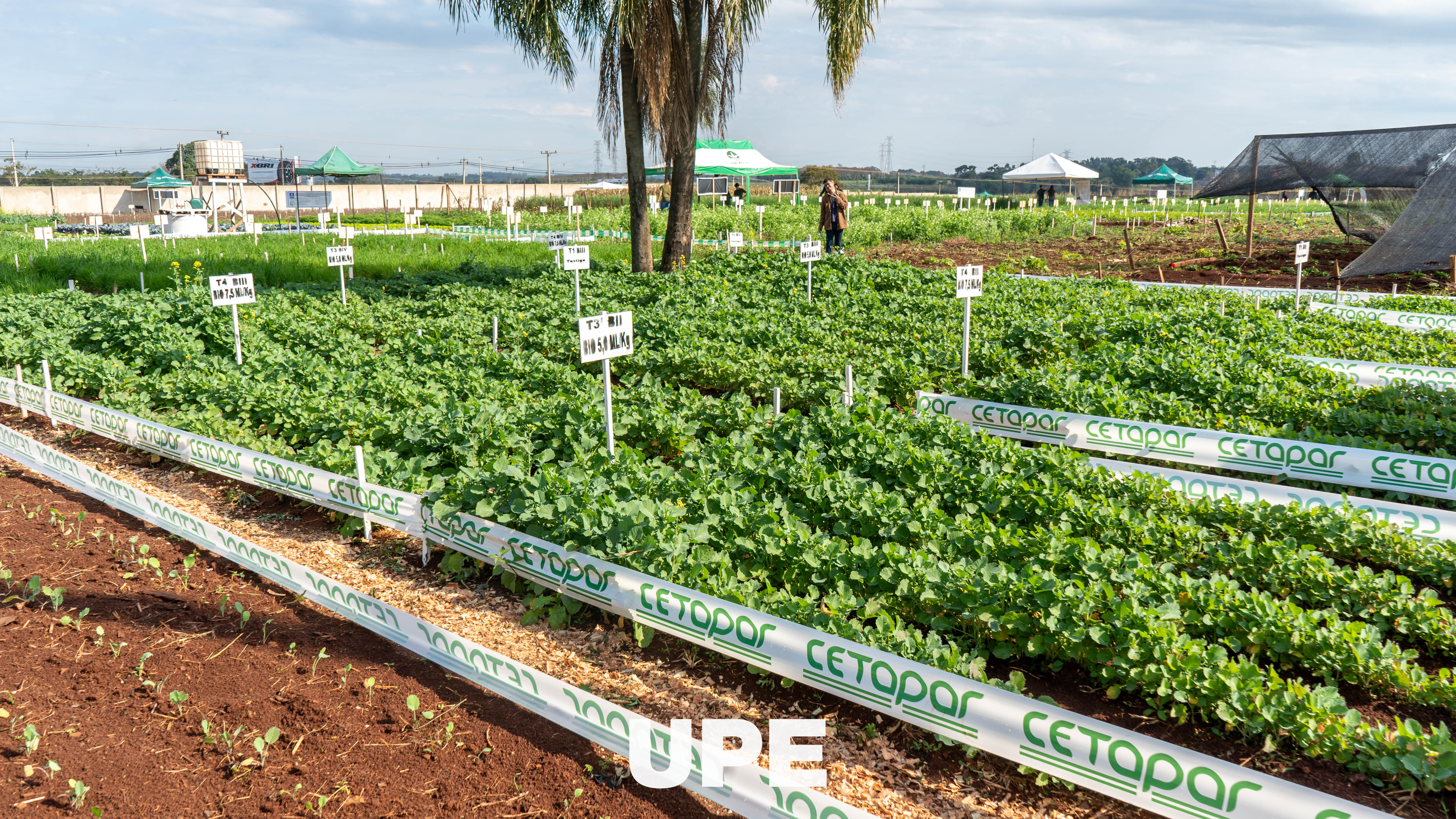 Día de Campo 2026 – Ingeniería Agronómica | UPE Minga Guazú