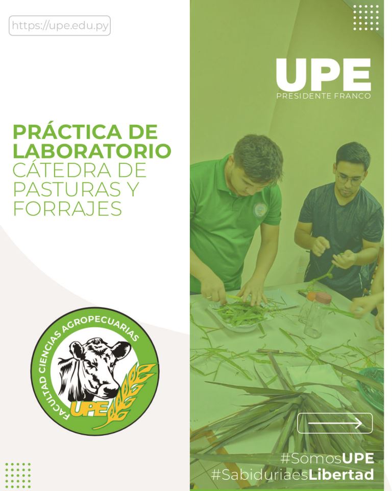 Práctica de Laboratorio en Ingeniería Agronómica