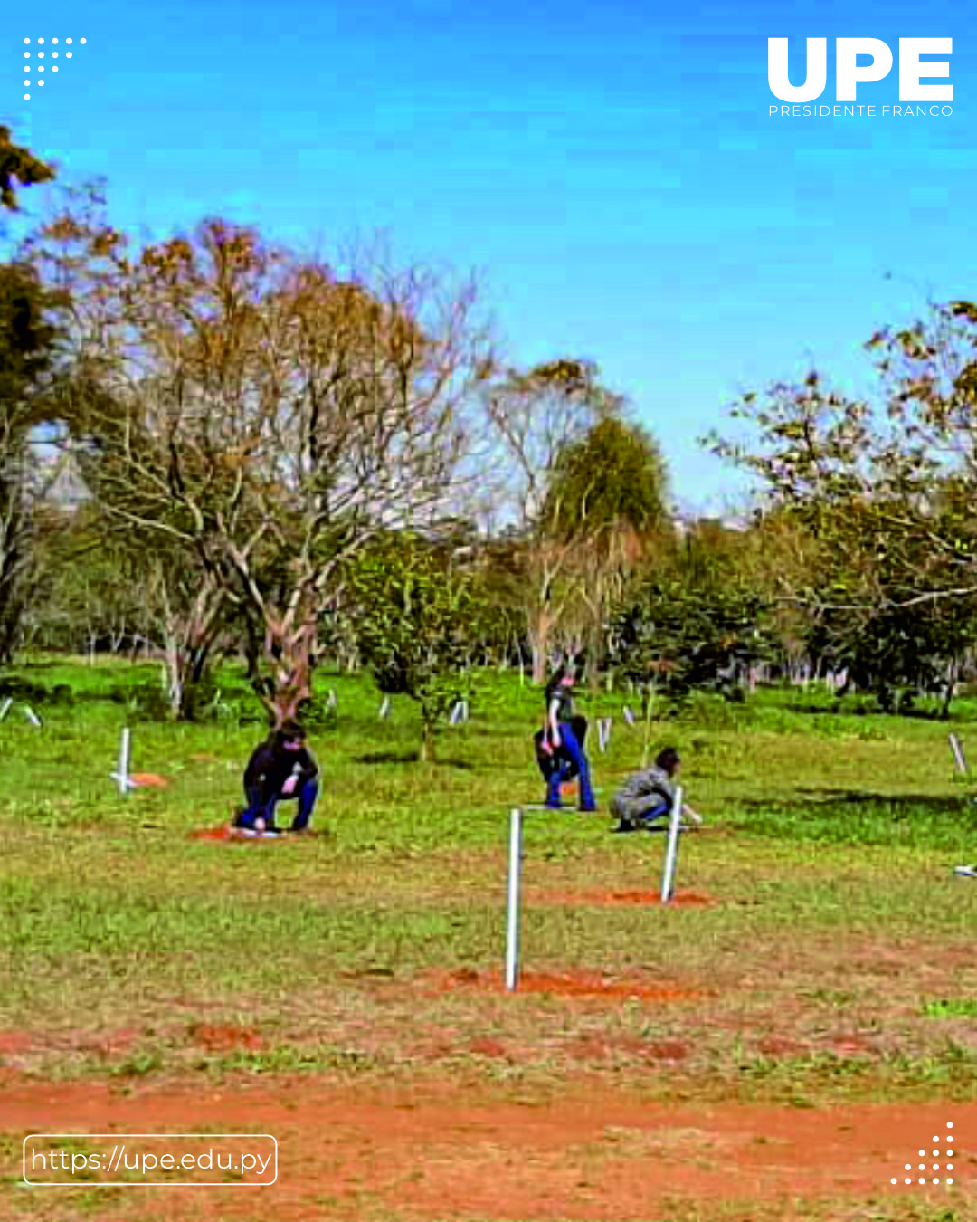 Preservación del Parque Independencia: Un Proyecto de Conservación y Conciencia Ambiental