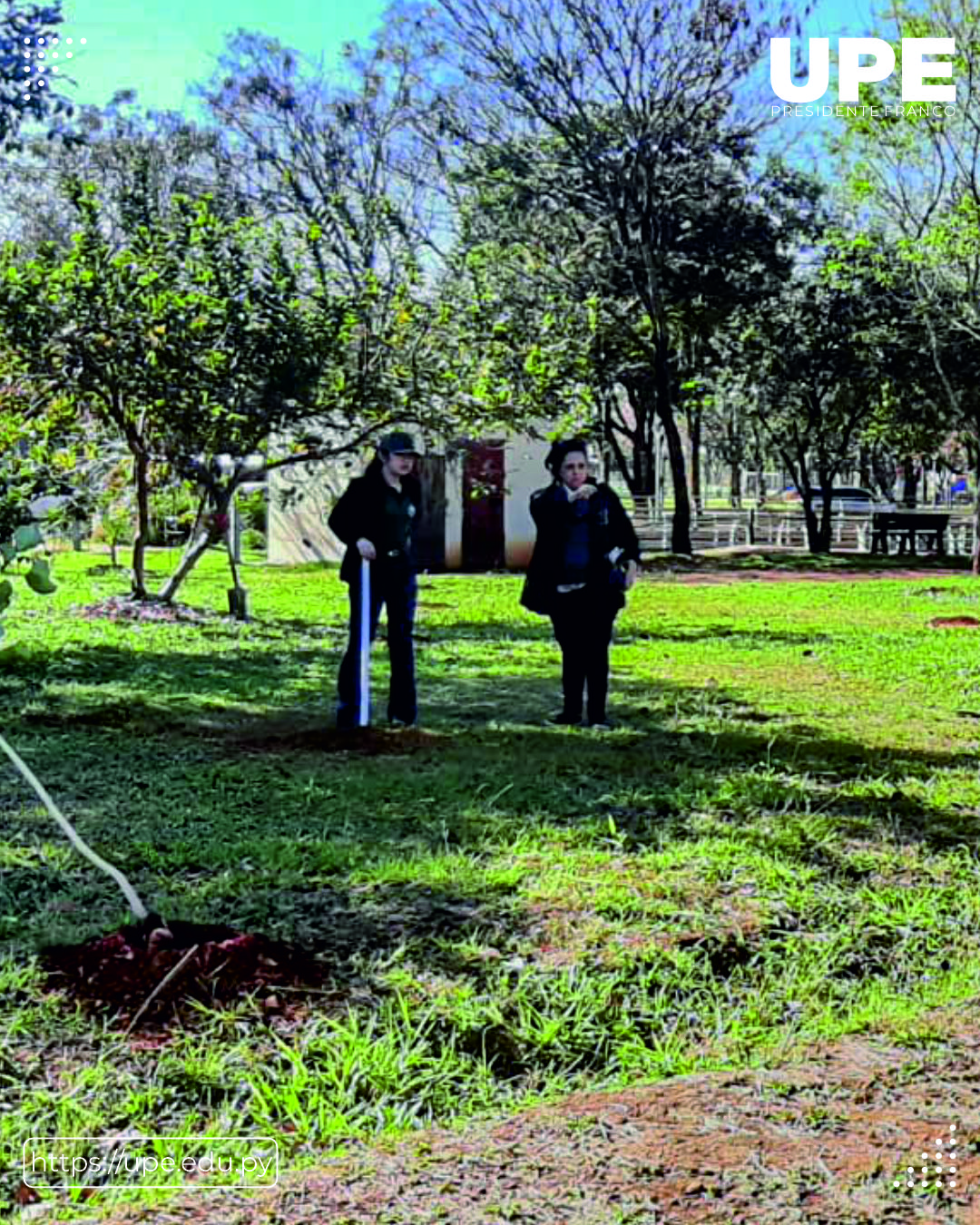 Preservación del Parque Independencia: Un Proyecto de Conservación y Conciencia Ambiental