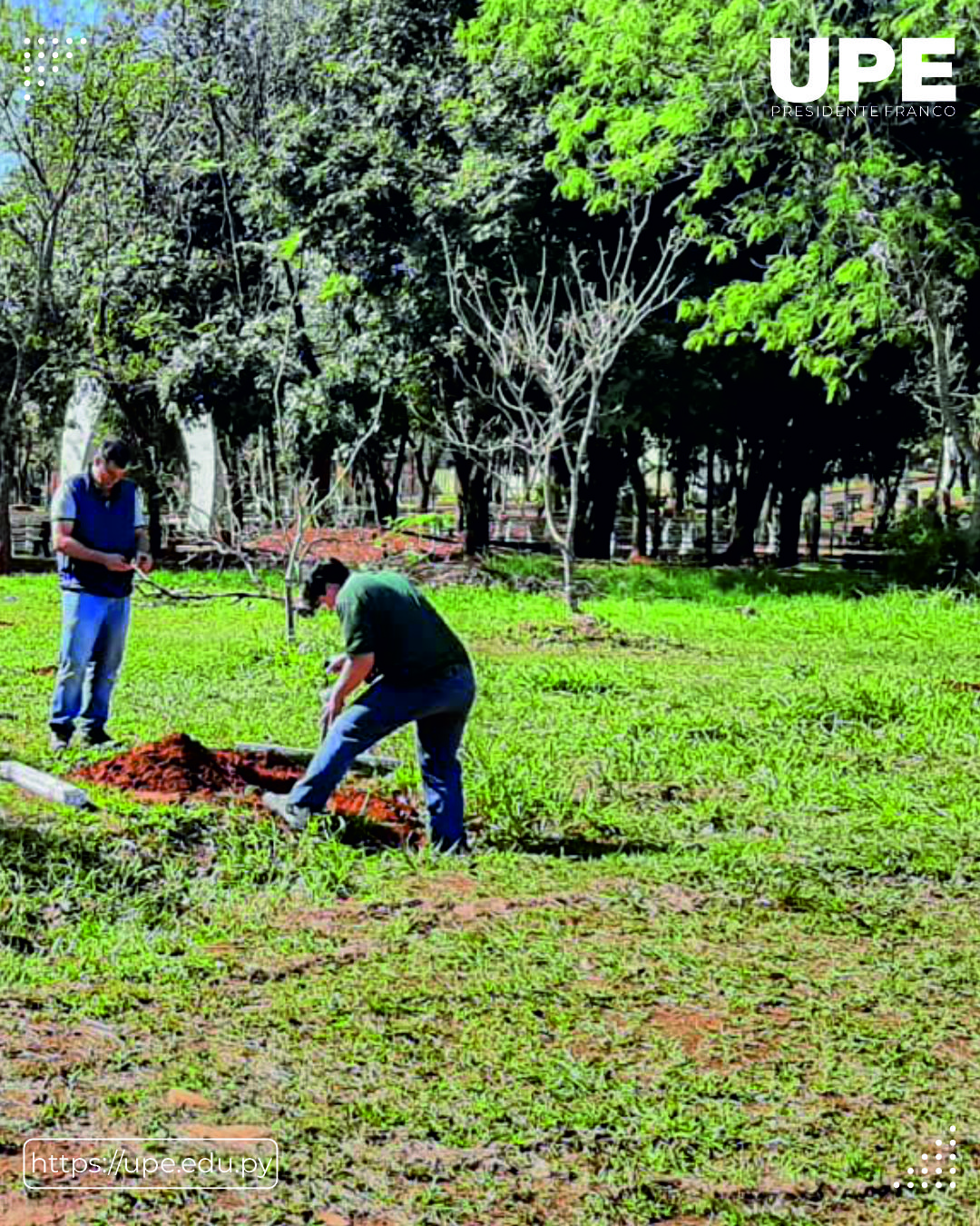 Preservación del Parque Independencia: Un Proyecto de Conservación y Conciencia Ambiental