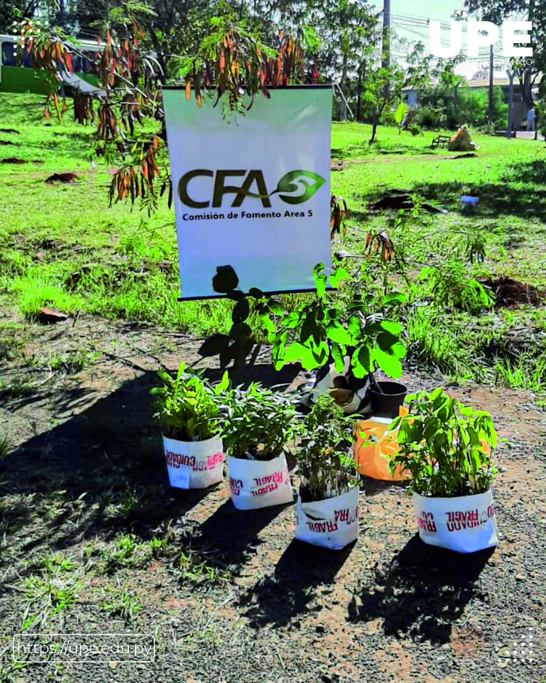 Preservación del Parque Independencia: Un Proyecto de Conservación y Conciencia Ambiental