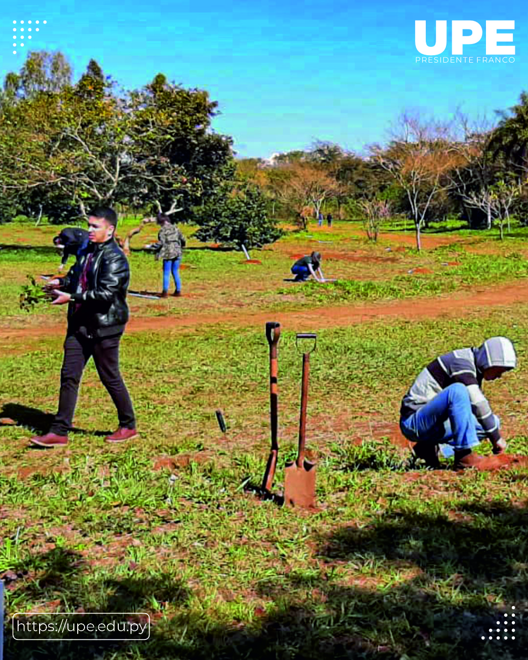 Preservación del Parque Independencia: Un Proyecto de Conservación y Conciencia Ambiental