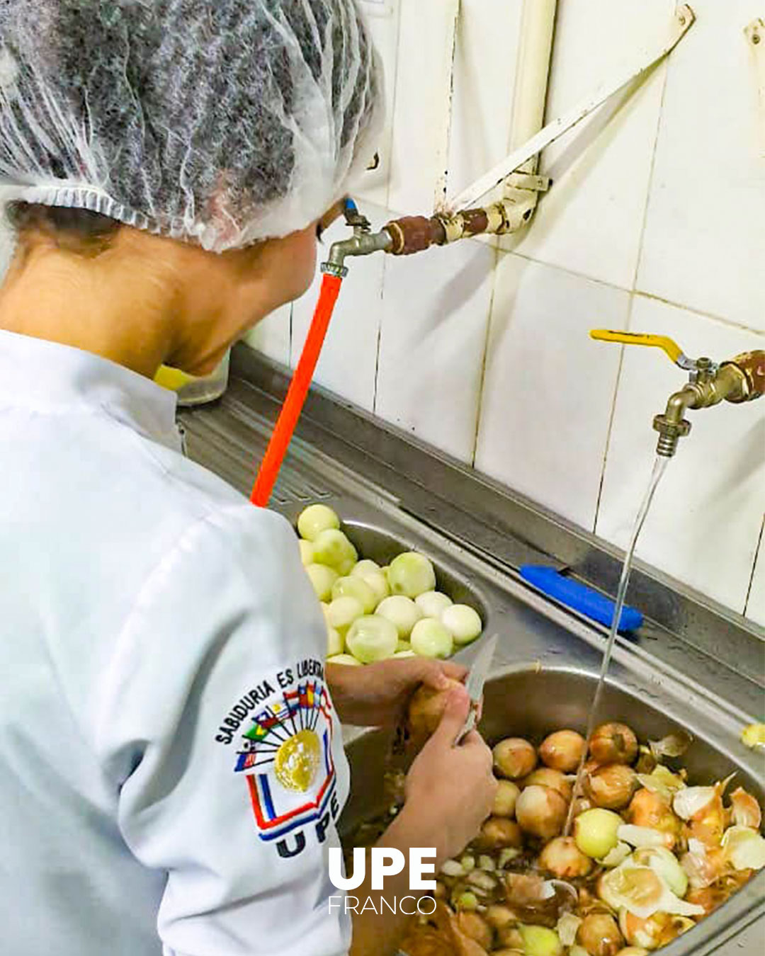 Estudiantes de Nutrición Elaboran Almuerzo Escolar Saludable: Práctica Profesional